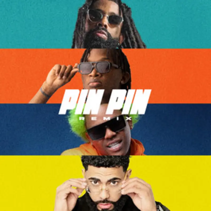 Pin Pin Remix